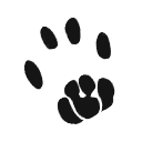 Shagcoat Cat Footprint