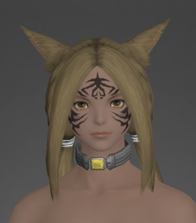 Augmented Ironworks Accessories