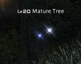 File:Mature tree.png - Final Fantasy XIV Online Wiki - FFXIV / FF14 ...