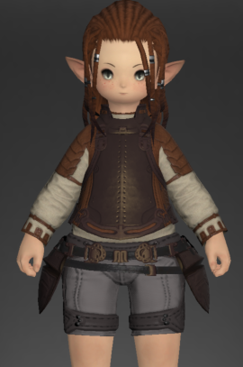 File:Bronze Cuirass 1.png