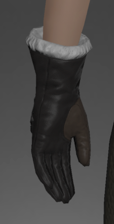 File:Diamond Gloves of Healing rear.png