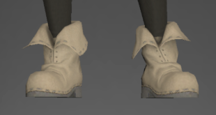 Leather Shoes front.png
