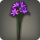 Purple triteleia icon1.png