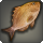 Hedonfish icon1.png