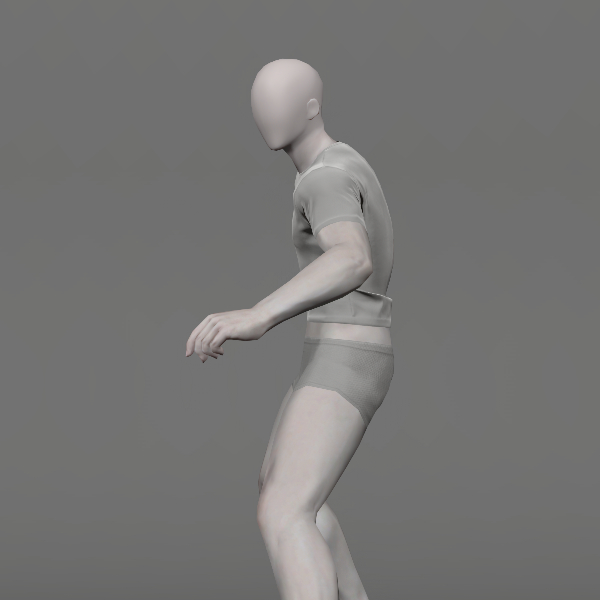 File:Heroic Spirit Shield.jpeg