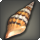 Miter shell icon1.png