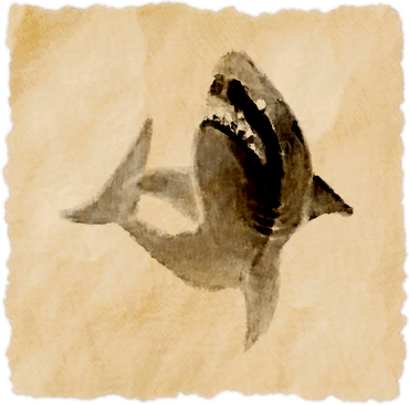 File:Copper shark.png