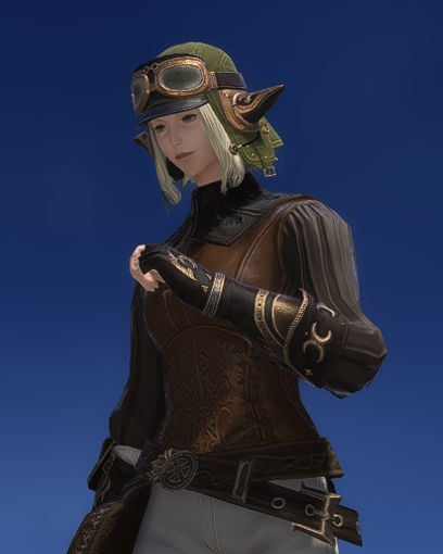 File:Lively Skyfarer.jpg