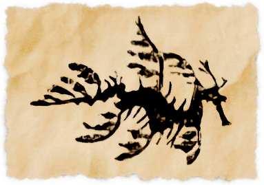 File:Flowering kelpie.png