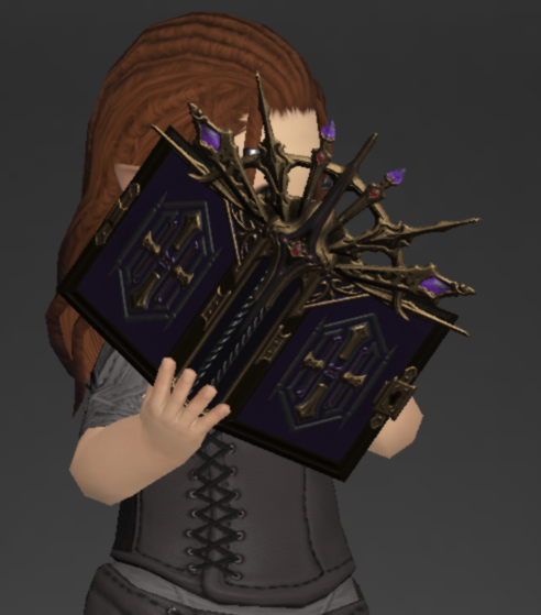 File:Marid Leather Grimoire 1.png