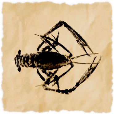 File:Ancient shrimp.png