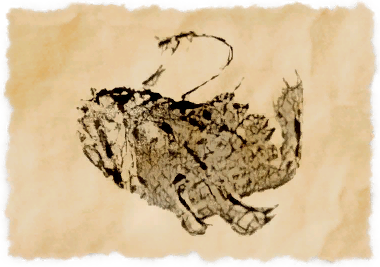 File:Goosefish (fish).png