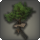 Simple treehouse icon1.png