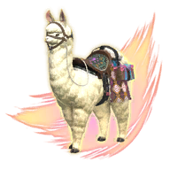 Alpaca Image.png