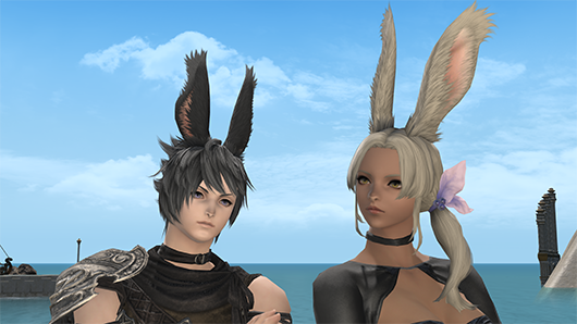 File:Hair adventure viera front.png - Final Fantasy XIV Online Wiki ...
