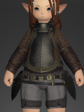 File:Iron Cuirass 1.png