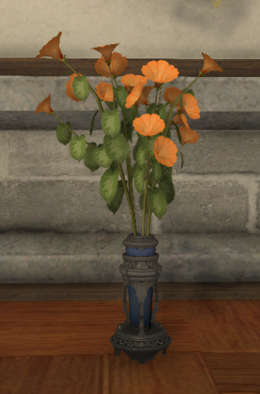 File:Orange Morning Glories.png