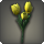 Yellow tulips icon1.png