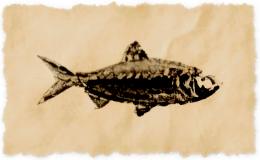 File:Fatty herring.png