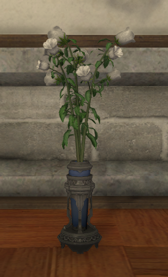 File:White Campanulas.png