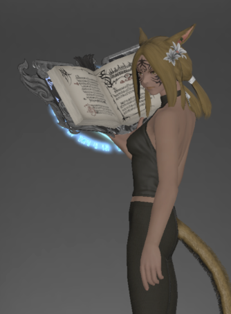 File:Omega Codex inside.png
