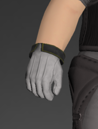 File:Arcanaut's Gloves of Scouting 1.png
