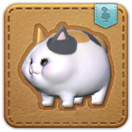 الدهون Cat icon3.png