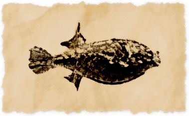 File:Spotted puffer.png