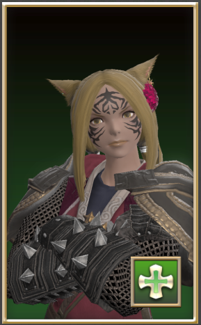 File:Healer Portrait Preset example.png