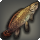 Red bowfin icon1.png