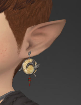 Camphorwood Accessories