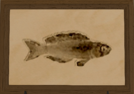 File:Lunar Cichlid print.png