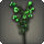 Green campanulas icon1.png