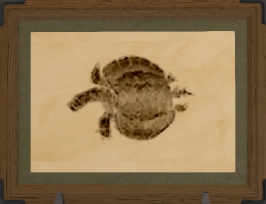 File:Henodus print.png