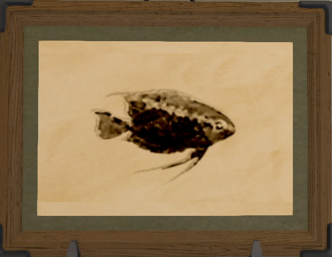 File:Mesonauta print.png