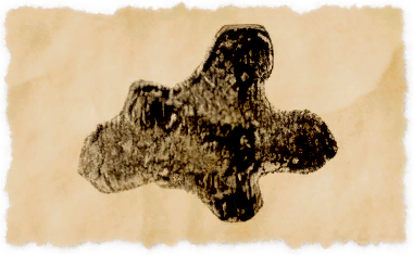 File:Deep purple coral.png