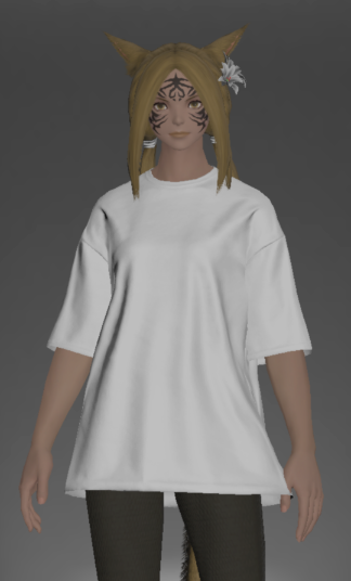 File:Oversized Plain Neotunic front.png