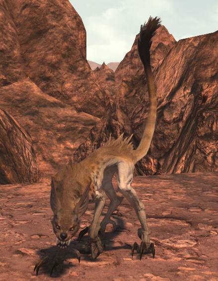 File:Wandering Coyote.jpg