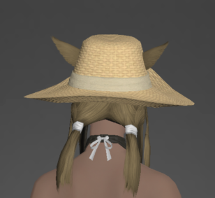 Stablehand's Hat rear.png