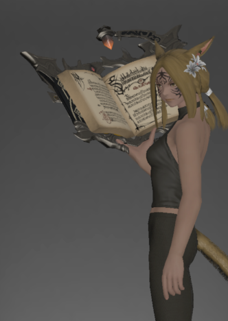 File:Codex of the Forgiven inside.png