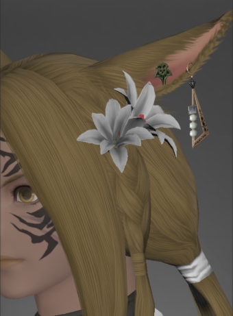 File:Diamond Earring of Casting.png