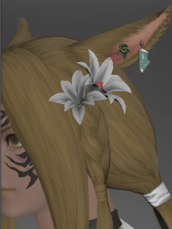 Nabaath Accessories (Malikah's Well)