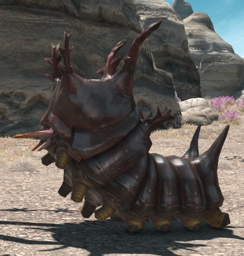 File:Energetic Eruca.jpg