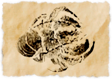 File:Gourmand crab.png