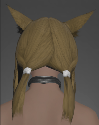 File:The Forgiven's Necklace of Slaying rear.png