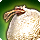 Dodo (Mount) Icon.png