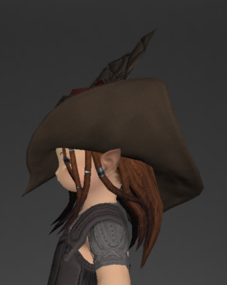 File:Tigerskin Tricorne of Striking 2.png