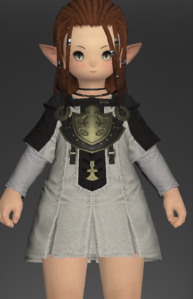 File:Cotton Tabard 1.png