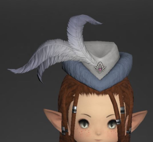 File:Darbar Hat of Healing 1.png