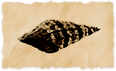 File:Laxan inkhorn.png